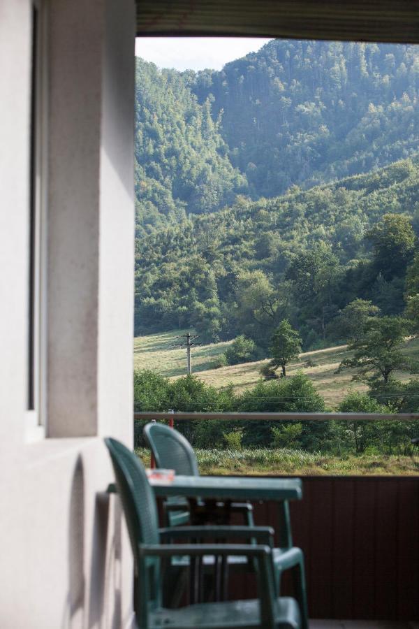 Time-Out - Valea Oltului Hotel Balota  Esterno foto